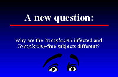 Slide 17
