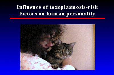 Slide 19
