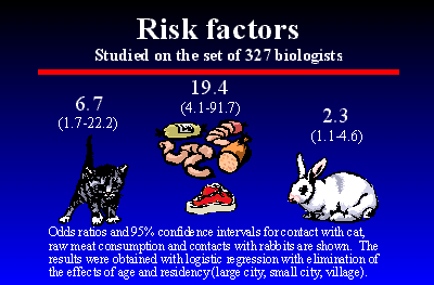 Slide 20